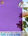 verre lisse violet pour vitrail et fusing